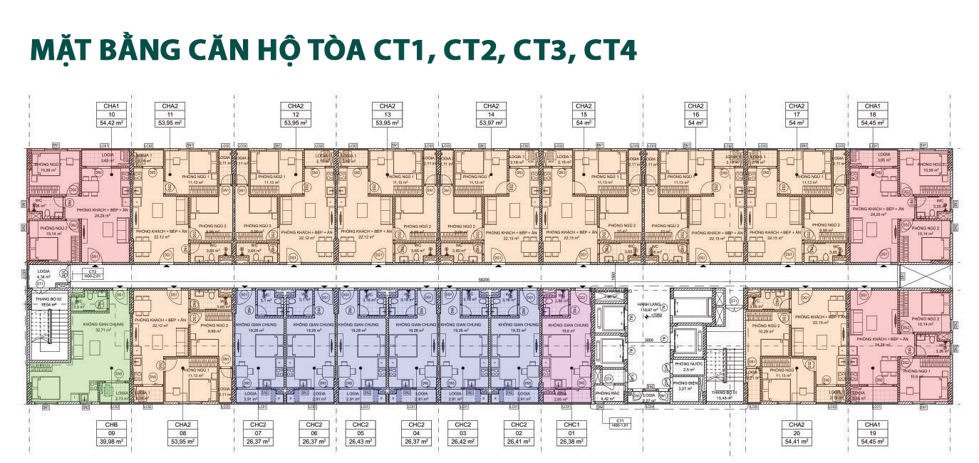 Mặt bằng thiết kế tòa CT1-2-3-4 Evergreen Tràng Duệ